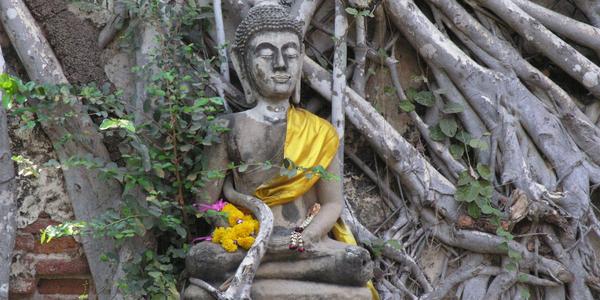 Wat Mongkol Bopith v Ayutthaya