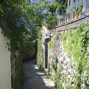 Ulička od přístavu, Capri