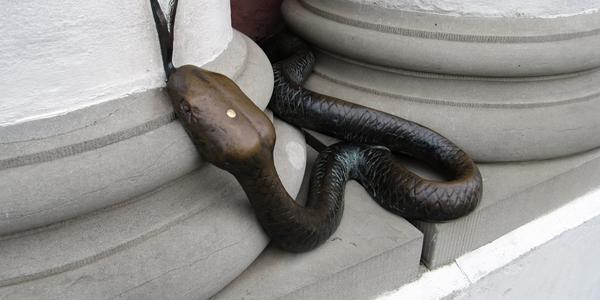Had Johannes, symbol Rostocku