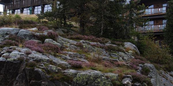 Hotel Norefjell