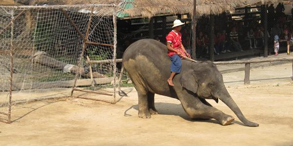 Fotbal je oblíbená zábava, Chiang Mai