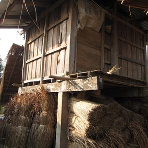 Ve vesnici kmene Akha, Chiang Rai