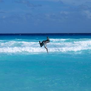 Na lovu, Cancún