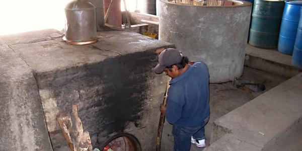 Palírna mezkalu, Oaxaca