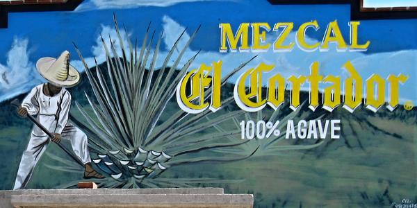 Reklama na mezkal, Oaxaca