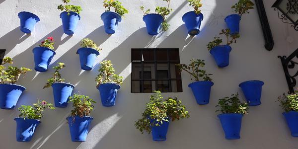 003. Cordoba