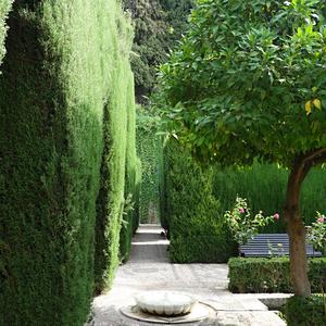 014. Granada, Generalife