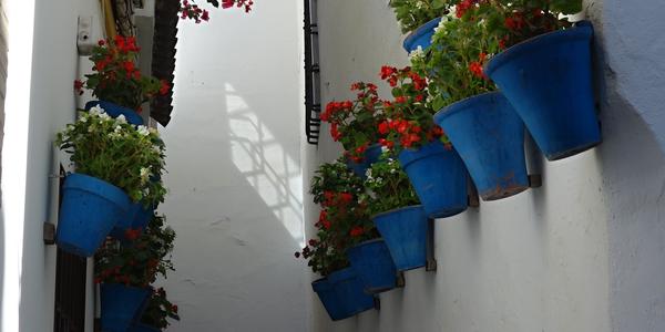 028. Cordoba 1