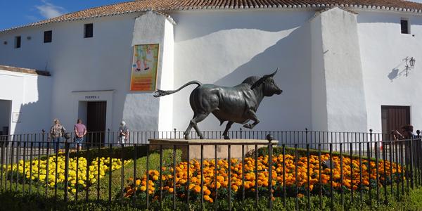 034. Ronda 1