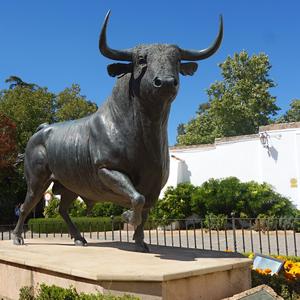 034. Ronda 14