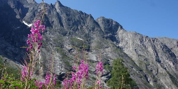 008. Romsdalen, Trollvegen