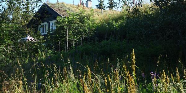 041. Lillehammer