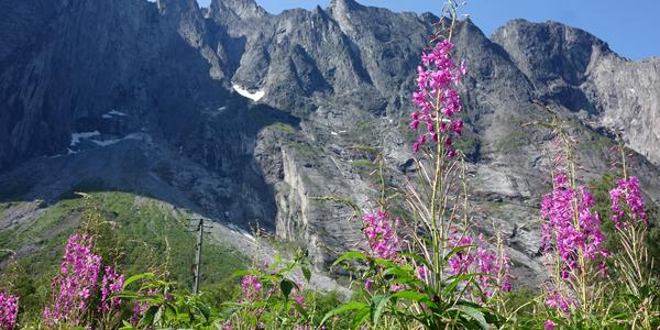 054. Romsdalen, Trollvegen
