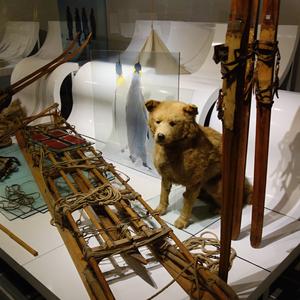 129. Oslo, Holmenkollen, muzeum sportu