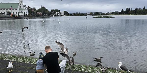 014-Reykjavík, Tjornin