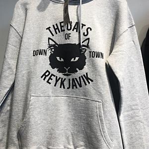 003-Reykjavík, The cats