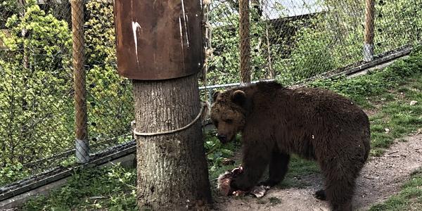 042-Djurgarden, Skansen