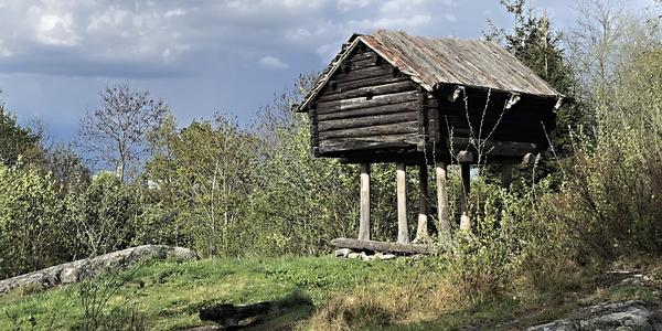 044-Djurgarden, Skansen