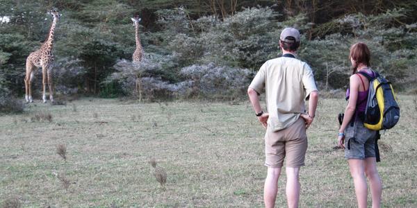 V zahradě Sopa Lodge Naivasha