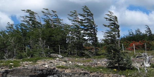 Bezvětrný den je v Patagonii výjimečný, cestou z Torres del Paine