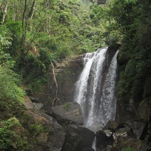 Vodopád v Nuwara Eliya
