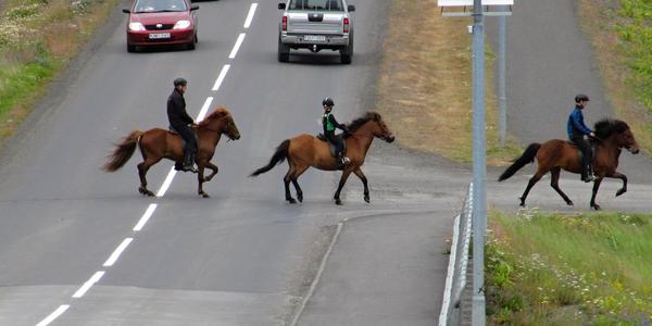 Obrázek z Helly