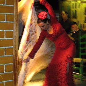 Flamenko, Granada