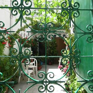 Andaluzské mříže, Granada