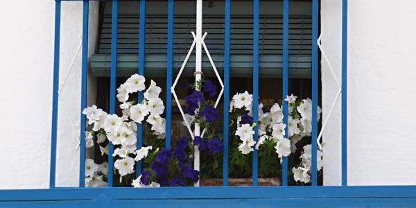 Modrobílé okno. Purulena