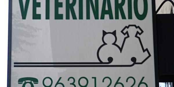 Nápadité logo, Valencie