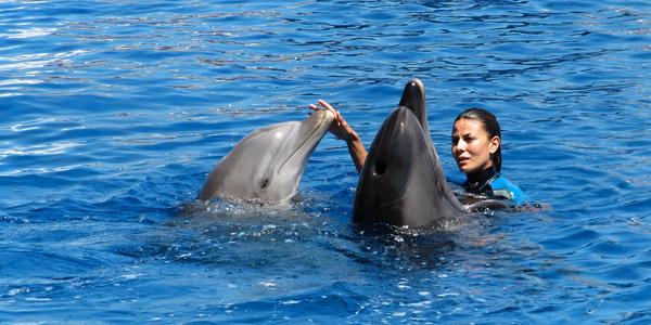 V bazénu s delfíny, Valencie