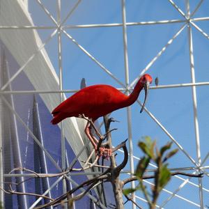 V kleci, Oceanografické muzeum ve Valencii