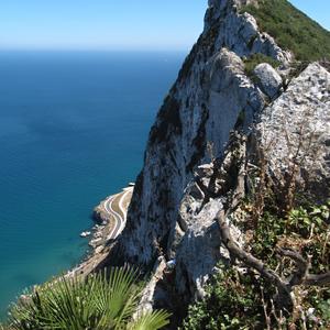 Vrchol gibraltarské skály