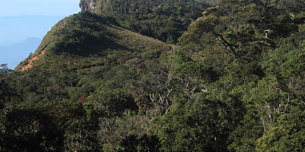 Konec světa, Horton Plains