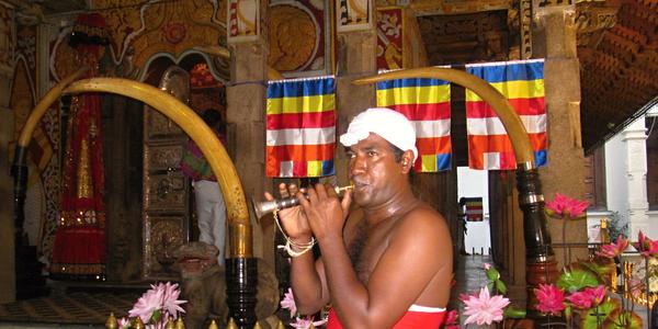 Trubač v chrámu Buddhova zubu, Kandy