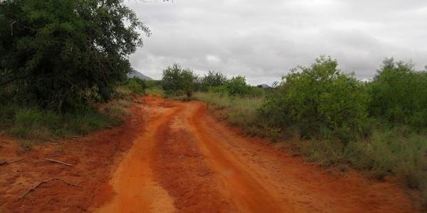 Barvy Tsavo West
