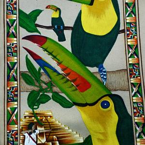 Palenque, tukani na kůži