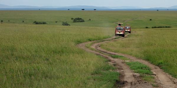 238. Safari v Masai Mara