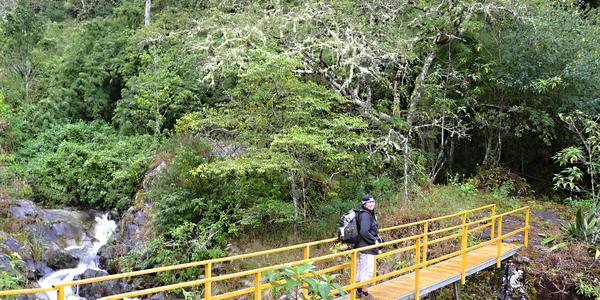 162. Na sestupu z Cerro Ena
