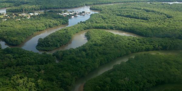 204. Mangrove z letadla