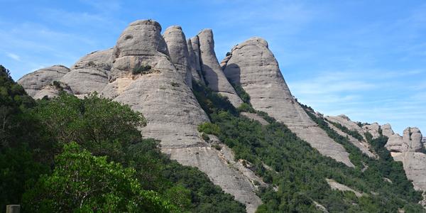 115. Montserrat 7