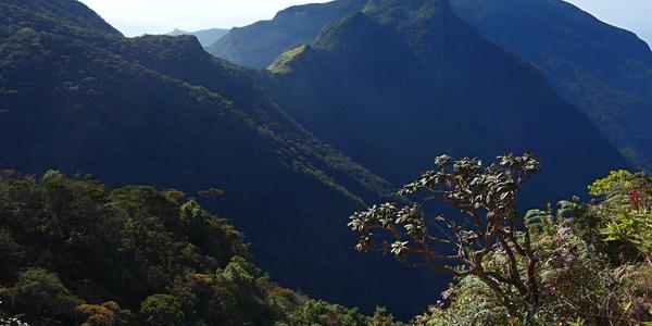 165. Konec světa, NP Horton plains