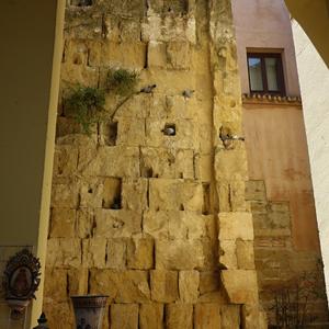 245. Cordoba
