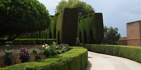 141. Zahrady Alhambry, Granada