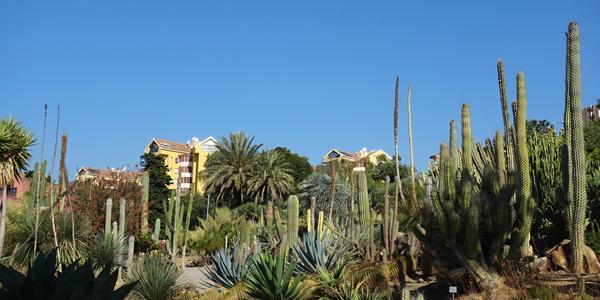 156. Park La Paloma, Benalmadena 1