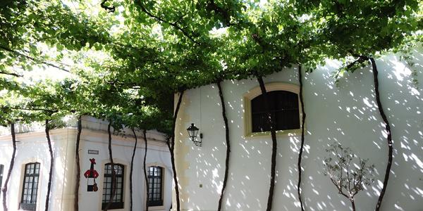 96. Zelená a bílá, Tio Pepe, Jerez