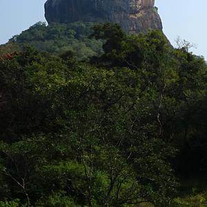 35. Nedostupná Sigiriya