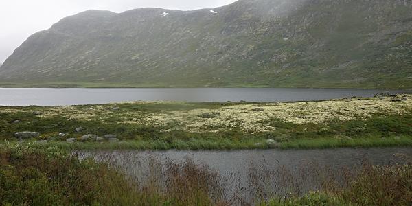 066. Hemsedalsfjella 4