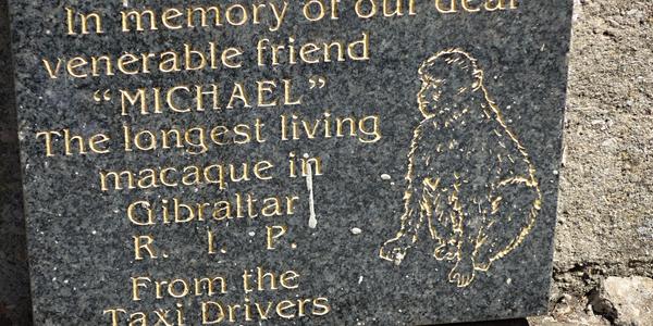 52. Taxikáři svému příteli, Gibraltar