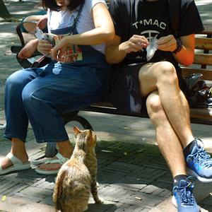 228. Šanghaj, ZOO